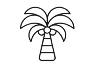 Palm tree